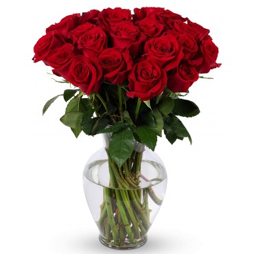 Red Roses Vase Bouquet 